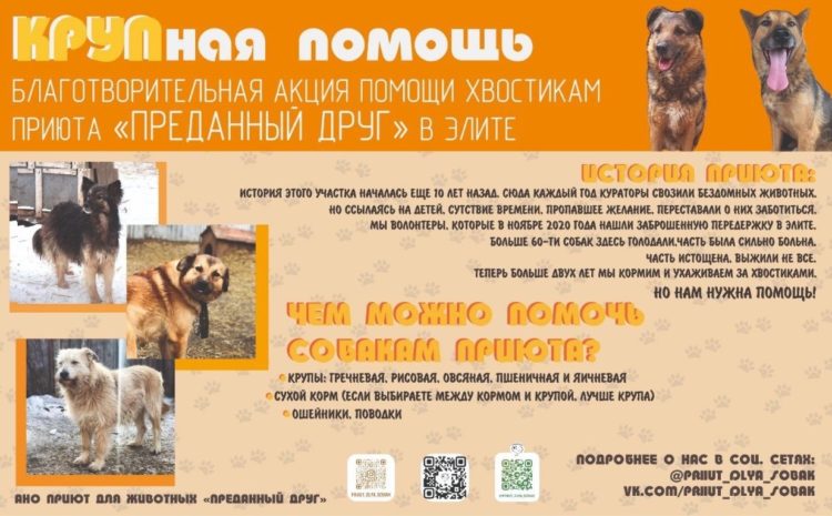  БЛАГОТВОРИТЕЛЬНОСТЬ