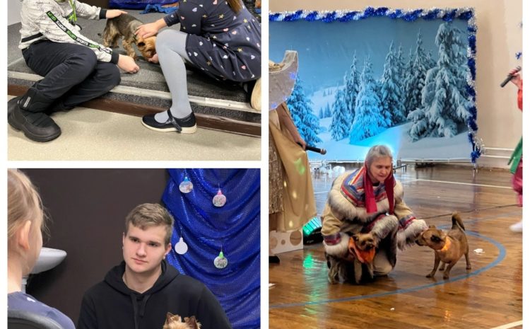  НОВОГОДНИЙ ПОДАРОК ДЕТЯМ