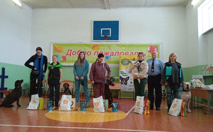  Соревнования по НоузВорку